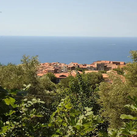 Farm stay Agriturismo La Focazza Ascea