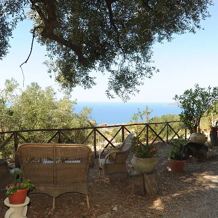 Agriturismo La Focazza Ascea