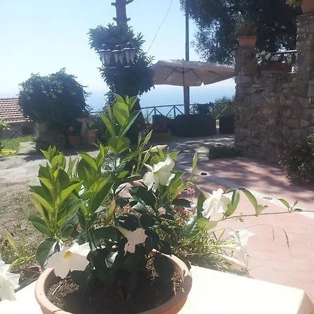 Farm stay Agriturismo La Focazza